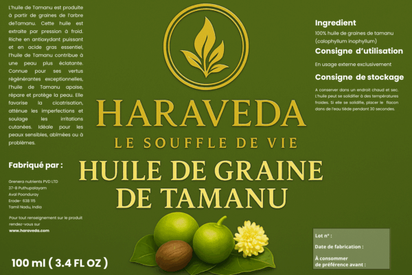 Huile de graine de  Tamanu